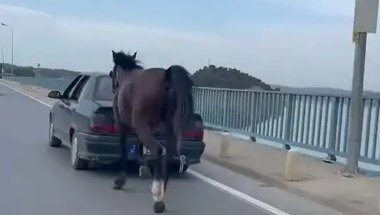 Adana'da Ata Eziyet Ettiği İddia Edilen Kişi Tutuklandı