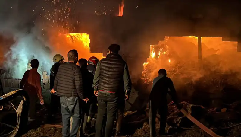 Bolu'da Korkutan Yangın: Ahır Alev Alev Yandı, Hayvanlar Tehlikede!