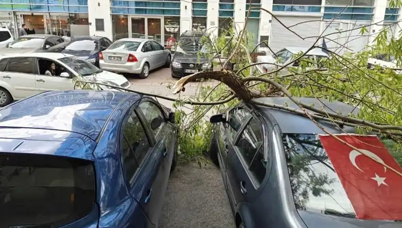 Kayseri'de Dalları Kıran Fırtına Hayatı Olumsuz Etkiledi