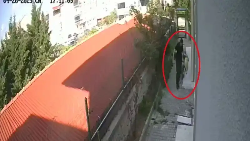 Veteriner Doktorun Şok Edici İfadesi: Evdeki Köpeklerini Parçaladı!