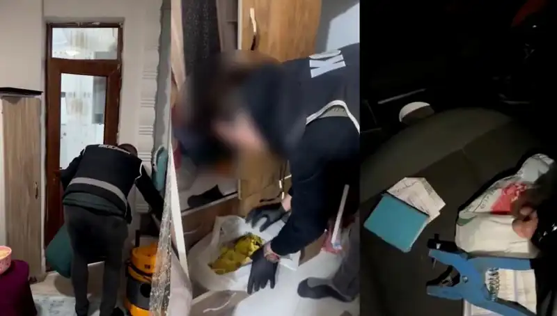 Hayvan Sevk Belgesi Usulsüzlüğü: Operasyonun Ardında Yatan Gerçekler ve Gözaltılar