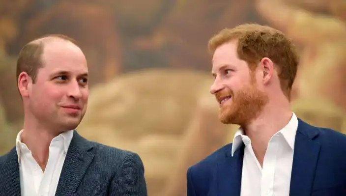 Prens Harry ve Prens William Arasındaki Küslük, Monarşi İçin Ne Anlama Geliyor?