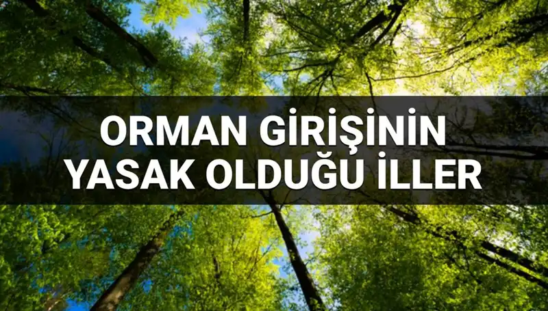 2025 Yılında Hangi İllerde Ormana Girmek Yasaklandı?