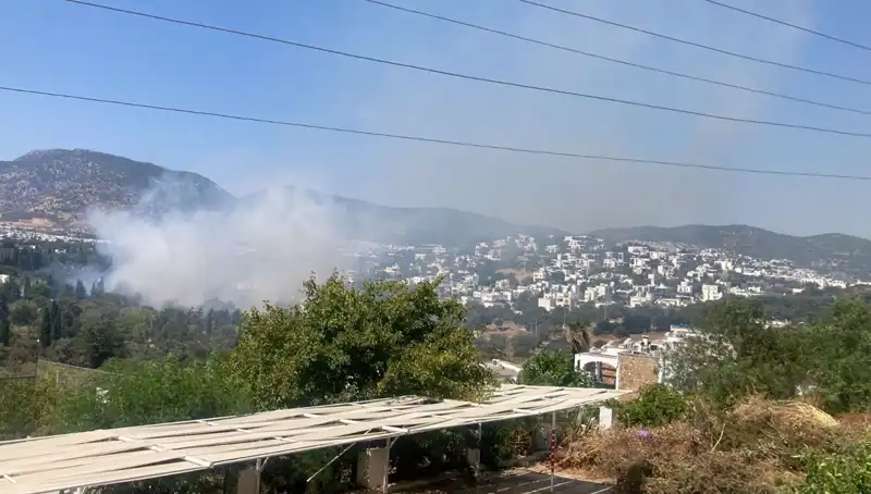 Muğla'daki Orman Yangınları Kontrol Altına Alındı: Durum Raporu ve Gelecek Adımlar