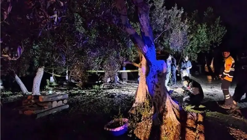 Çiftlikteki Baltalı Vahşet: Bir Tutuklama, Sır Perdesi Aralanıyor!