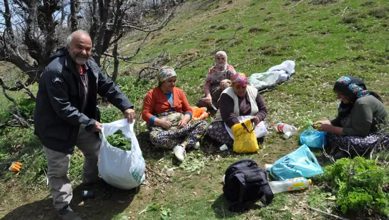 Yürüyerek Toplanan Maden: Günde 5 Saat, Kilosu 250 Lira!