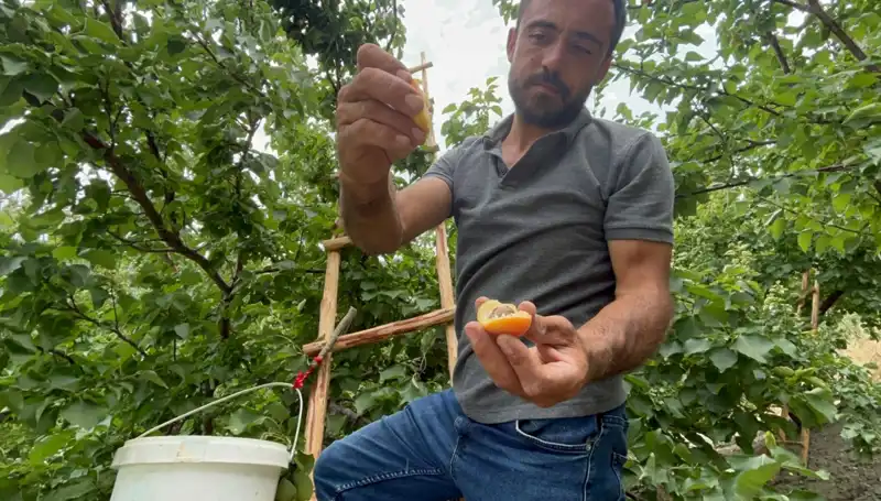 Tadı Damakta Bırakan Lezzet: 50 TL ile 70 TL Arasında Bir Fırsat!