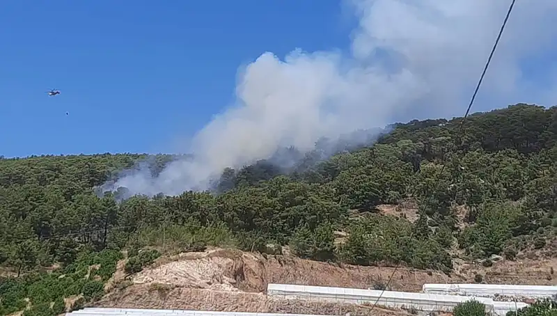 Kumluca'da Yangın Alarmı: Orman Alev Alev, Ekipler Seferber Oldu!