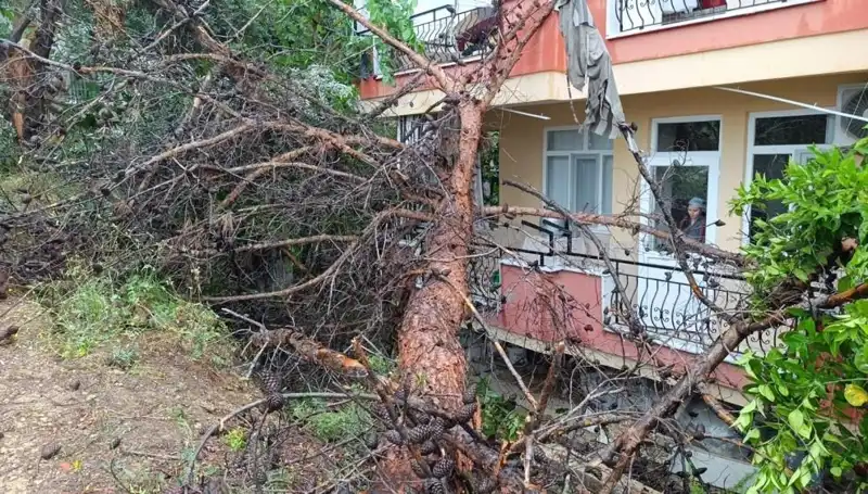 Yağmura Dayanamayan Binanın Düşmesi Şehirde Şok Etkisi Yarattı