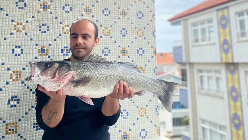7,5 Kiloluk Dev Levrek, Balıkçıların Dikkatini Çekti