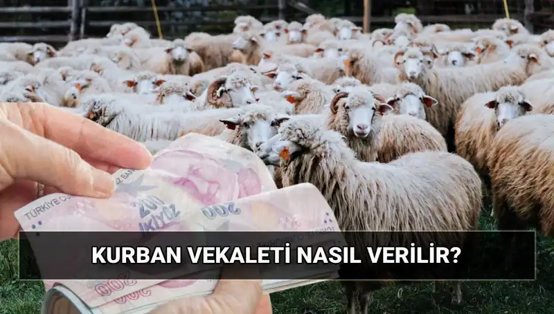 Vekaletle Kurban Kesimi: 2025 Yılı İçin Diyanet Bedeli ve Süreç
