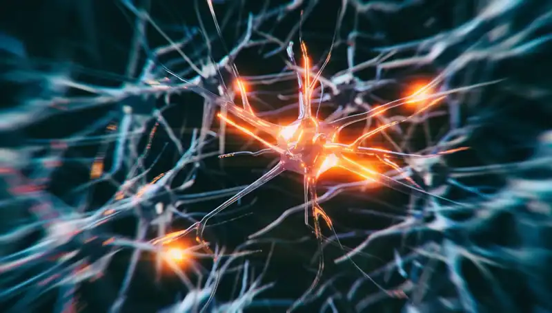 Alzheimer Vakalarındaki Artışın Arkasında Yatan Sebepler Ne?