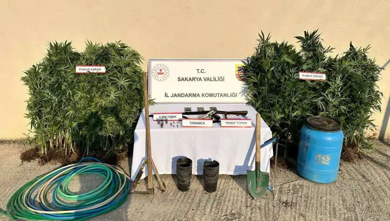 Sakarya’da Düzenlenen Uyuşturucu Operasyonunda 1 Kişi Tutuklandı