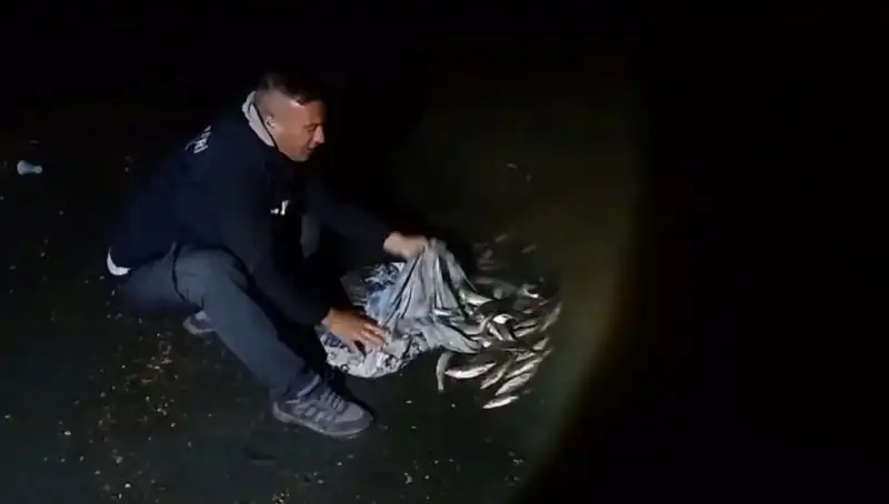 İnci Kefali Avı: Bir Ton Lezzetli Balık Ele Geçirildi!