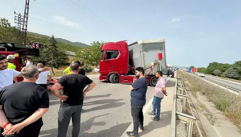 Seyir Halindeyken Arı Soktu, Trafic Kilitlendi: Şok Anlar Yaşandı!