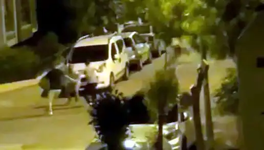 Avcılar'da Cesur Vatandaşlar, Saldırganları Durdurdu