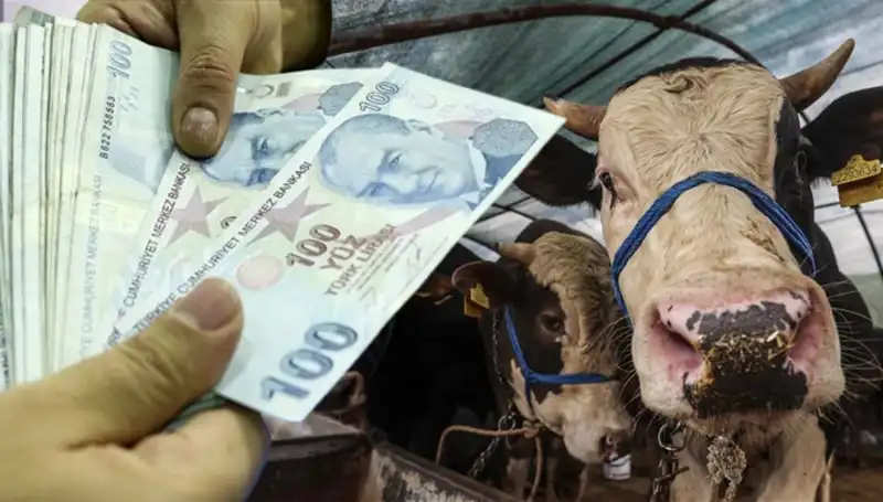 Emekli ve Memur Maaşları Kurban Bayramı Öncesi Yatacak Mı?