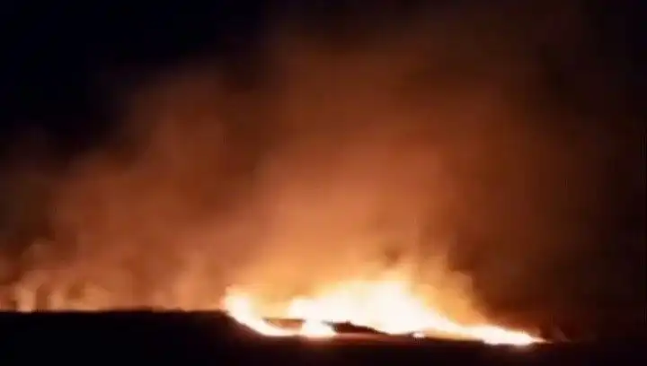 Tekirdağ'da 20 Dekar Buğday Tarlası Kül Oldu: Çiftçiler Ne Olacak?