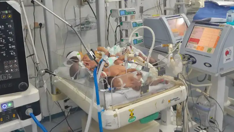 Gazzeli Doktorlar Çaresiz: Birden Fazla Bebek Aynı Kuvözde Yaşıyor
