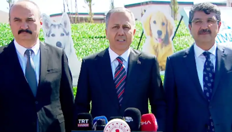Türkiye'de Sokak Köpekleri Tartışması: İçişleri Bakanlığı 81 İle Müfettiş Gönderdi