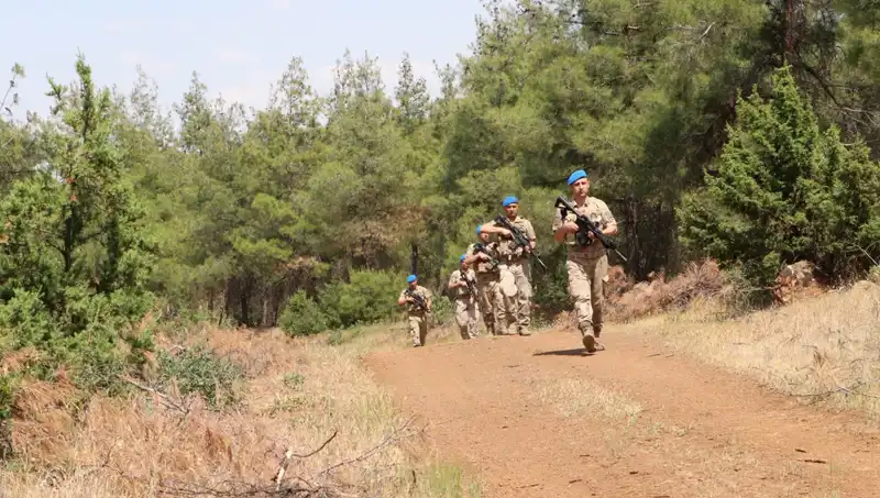 Kilis’te Orman Yangınları İçin Önlemler Artırıldı: Son Durum ve Mücadele