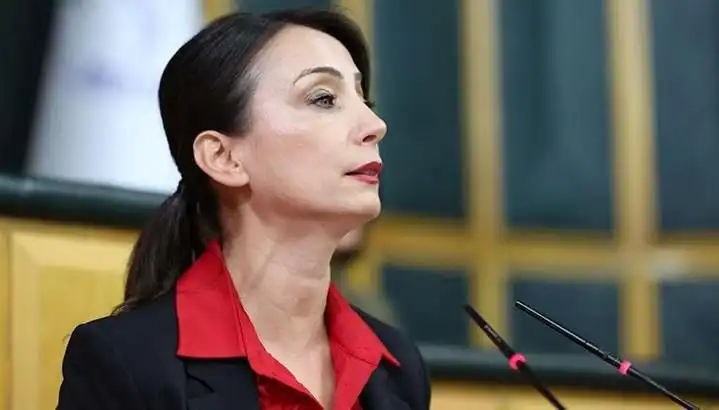 Öcalan'ın Silah Bırakma Çağrısı ve DEM Partisi'nin Siyasi Tur Planları