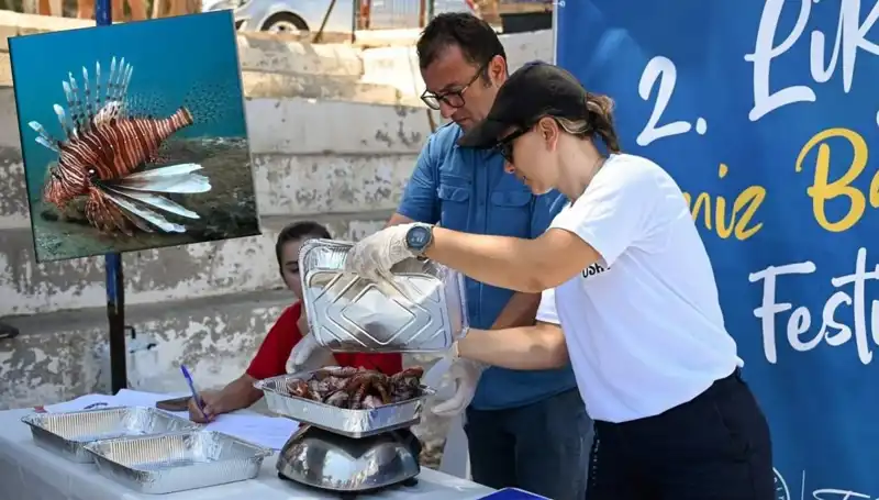 Antalya'da İstilacı Aslan Balığı Avlama Yarışmasıyla Denizler Rahatlayacak!