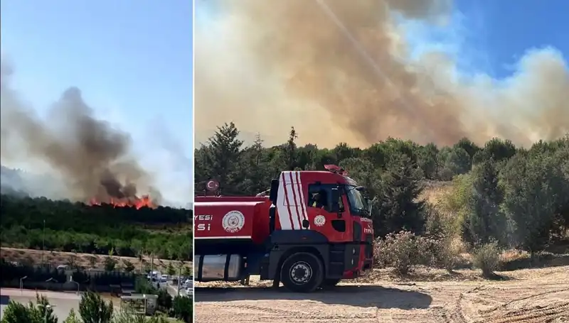 Gebze'de Orman Yangını: Ekipler Zamanla Yarışıyor