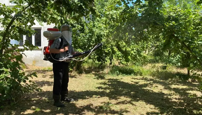 Çiftçinin Umudu: Kükürt ve Samuray Arısı ile Tarımda Yeni Dönem