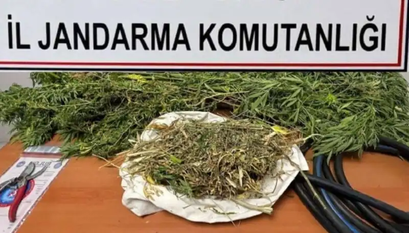 Niğde’de Uyuşturucu Operasyonu: 5 Kişi Tutuklandı, Şok Detaylar Ortaya Çıktı