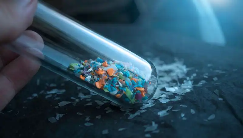 Mikroplastiklerin Gizli Tehlikesi: İnsan Beyninde Yaptığı Etkiler