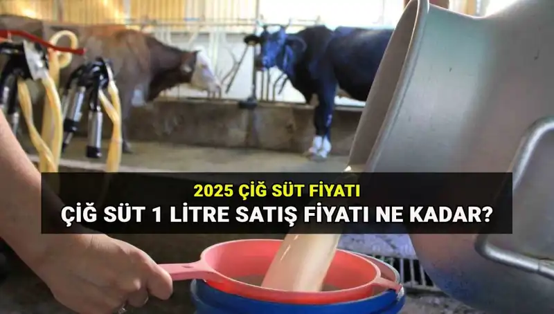 2025 Çiğ Süt Fiyatları: Ulusal Süt Konseyi'nden Son Veriler Açıklandı!
