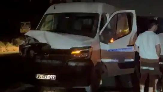 İstanbul'da Manda Kazası: Üç Kişi Yaralandı, Olayın Ardındaki Gerçekler Ne?