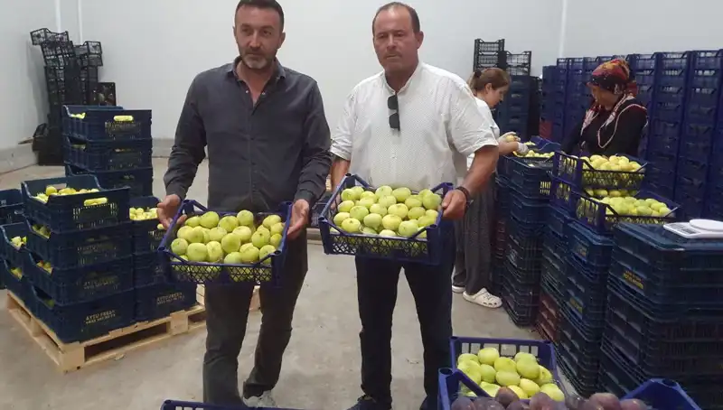 Mersinli Çiftçinin Yüzü, İhraçla Gülmeye Devam Ediyor!