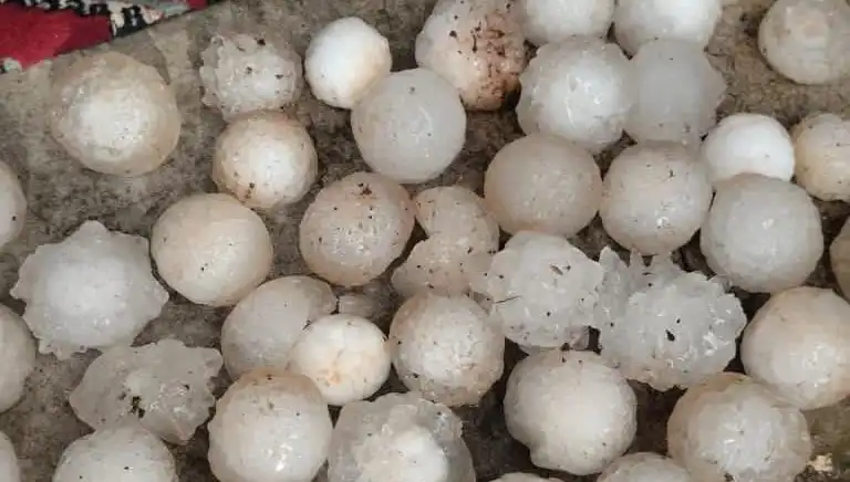 Şanlıurfa'da Kar Tanelerini Aratmayan Dolu Yağışı Etkili Oldu
