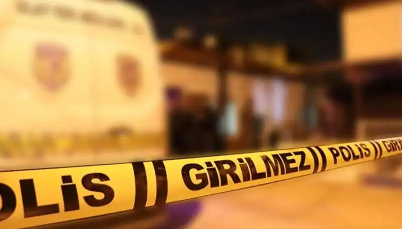 Diyarbakır'da Kayınpeder dehşeti, Aile İlişkilerini Sarsıyor
