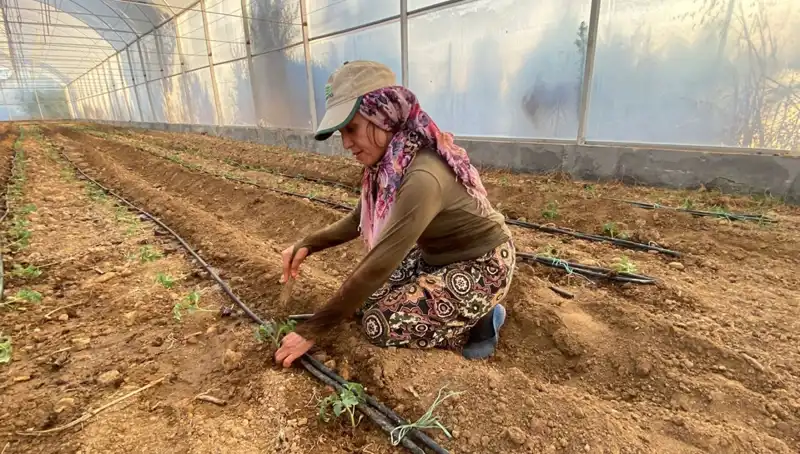 Tarıma Dönüş: Genç Çiftçiler Fideleri Toprakla Buluşturdu