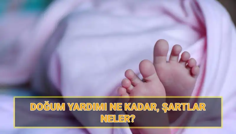 2025 Çocuk Parası Başvuruları Başladı! Şartlar ve Miktar Nedir?