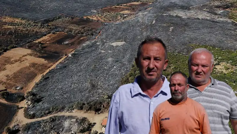Çeşme Yangını: Yanık Arazi ve Kaybolan Hayatlar, Acı Bilanço