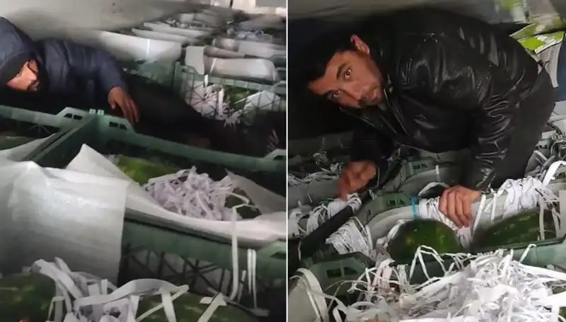 Göçmenler Karpuzların Arasından Çıktı: Sınırda Şok Edici olay!