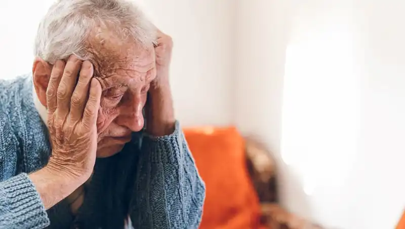 Bilim İnsanları, Beslenme Tercihinin Alzheimer Riskine Etkisini Açıkladı!
