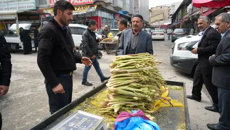 Dağlık Alanların Şifalı Bitkisi: Şeker, Kanser ve Mide Hastalıklarına İyi Gelen Doğal Antidot
