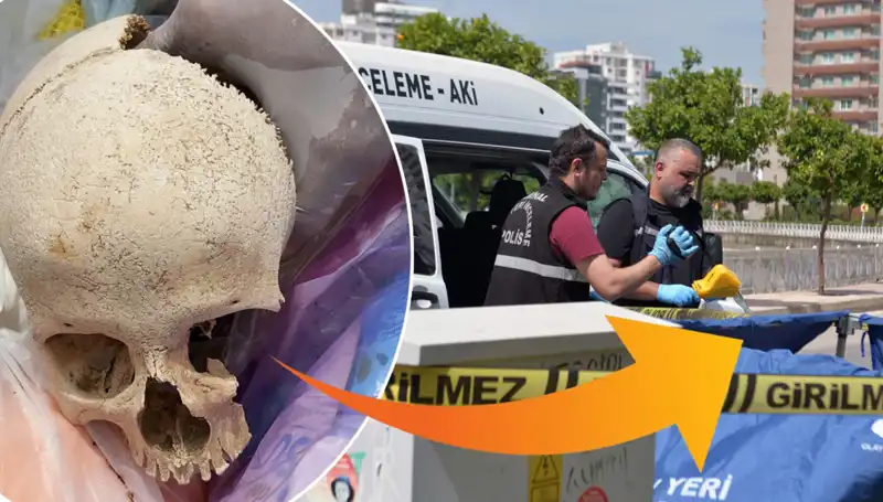 Sitenin Çöpünden Kafatası Bulundu: Uzman Doktor Dikkat Çeken Gözaltında!