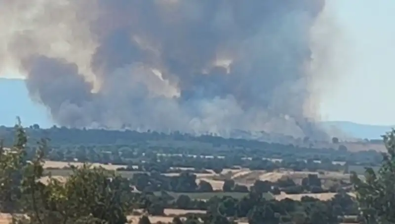 Komşularımızdaki Orman Yangını Edirne'yi Duman İçinde Bıraktı